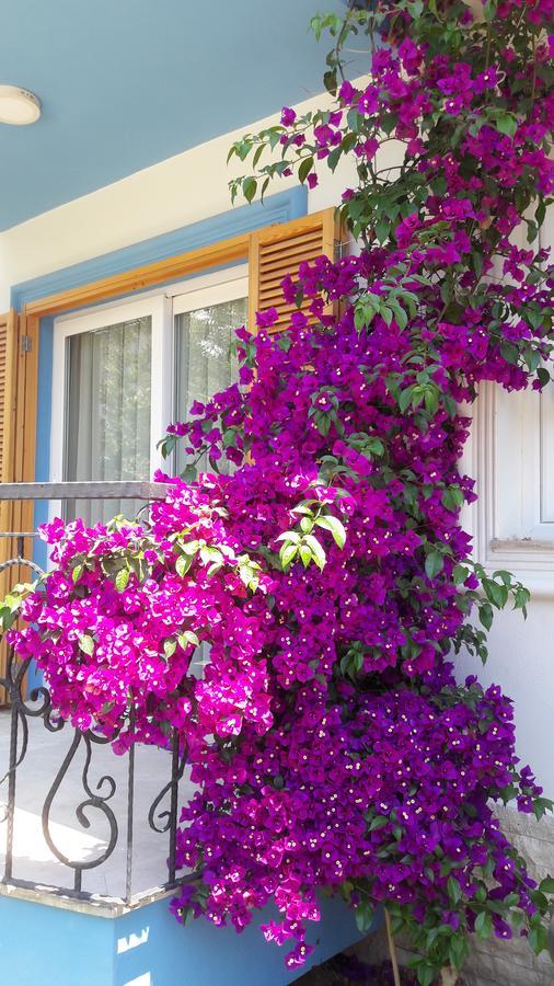 Clementin Suits Siğacık Εξωτερικό φωτογραφία